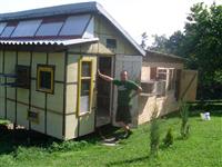 Hodowca